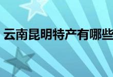 云南昆明特产有哪些好带的（云南昆明特产）