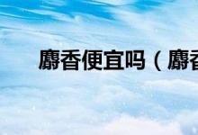 麝香便宜吗（麝香价格是多少钱一克）