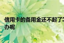 信用卡的备用金还不起了怎么办 还不起信用卡的备用金怎么办呢