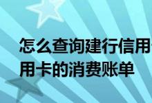 怎么查询建行信用卡总账单 怎么查询建行信用卡的消费账单