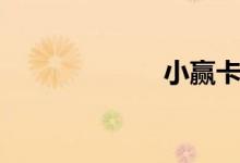 小赢卡贷（小赢）