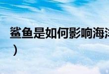 鲨鱼是如何影响海洋生态（鲨鱼是如何呼吸的）