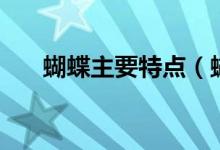 蝴蝶主要特点（蝴蝶主要特点是什么）