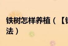 铁树怎样养植（【铁树怎么养】铁树的养殖方法）