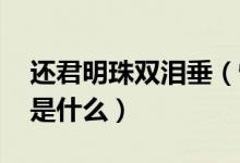 还君明珠双泪垂（恨不相逢未嫁时 的下两句是什么）