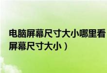电脑屏幕尺寸大小哪里看（电脑屏幕尺寸有哪些怎么看电脑屏幕尺寸大小）