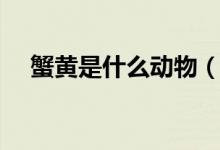 蟹黄是什么动物（蟹黄是什么（图文））