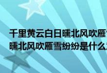 千里黄云白日曛北风吹雁雪纷纷是什么意思（千里黄云白日曛北风吹雁雪纷纷是什么意思）