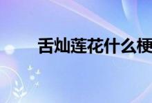 舌灿莲花什么梗（舌灿莲花的解释）