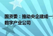 国资委：推动央企建成一批新型数字基础设施培育一批知名数字产业公司