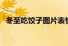 冬至吃饺子图片表情包（冬至吃饺子寓意）