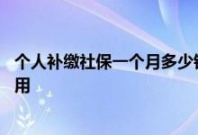 个人补缴社保一个月多少钱 怎么补缴社保缴纳社保有什么作用 