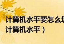 计算机水平要怎么填写（计算机专业的怎么填计算机水平）