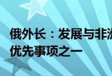 俄外长：发展与非洲国家的全面伙伴关系是俄优先事项之一