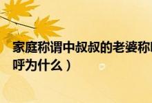 家庭称谓中叔叔的老婆称呼什么（家庭称谓中叔叔的老婆称呼为什么）