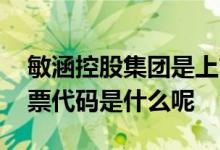 敏涵控股集团是上市公司吗 敏涵控股集团股票代码是什么呢 