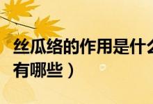丝瓜络的作用是什么（丝瓜络的功效与作用都有哪些）