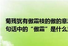 菊残犹有傲霜枝的傲的意思是什么（“菊残犹有傲霜枝”这句话中的“傲霜”是什么意思）