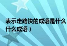 表示走路快的成语是什么（吃饭快车速快变化快走路快各是什么成语）