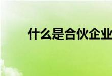 什么是合伙企业（什么是合金模具）