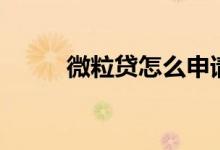 微粒贷怎么申请开通（微粒贷款）