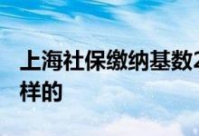 上海社保缴纳基数2022是多少 申报流程怎么样的 