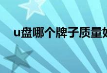 u盘哪个牌子质量好（u盘十大品牌推荐）