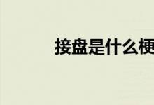 接盘是什么梗（接盘是什么梗）