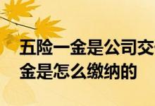 五险一金是公司交一半自己交一半吗 五险一金是怎么缴纳的 