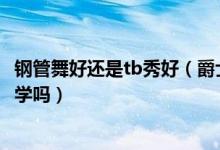 钢管舞好还是tb秀好（爵士平台领舞钢管舞TB秀哪个舞蹈好学吗）