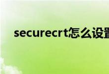 securecrt怎么设置中文（securecode）