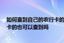 如何查到自己的农行卡的账单 怎么查我农行的消费账单 副卡的也可以查到吗