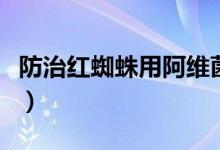 防治红蜘蛛用阿维菌素（防治红蜘蛛用什么药）