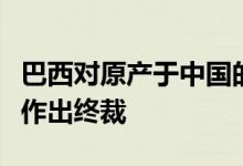 巴西对原产于中国的镁颗粒反倾销日落复审案作出终裁