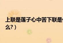上联是莲子心中苦下联是什么（莲子心中苦的谐音对联是什么?）