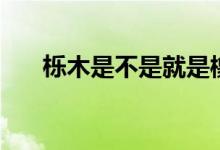 栎木是不是就是橡木（栎木是什么木）
