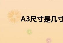 A3尺寸是几寸??（SONY-T20）