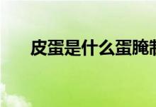 皮蛋是什么蛋腌制的（皮蛋是什么蛋）