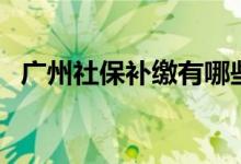广州社保补缴有哪些新规 补缴条件有哪些 