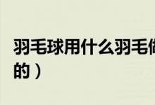 羽毛球用什么羽毛做的（羽毛球用什么羽毛做的）