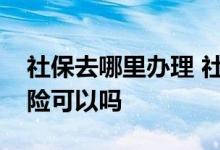 社保去哪里办理 社保只交养老保险和医疗保险可以吗 