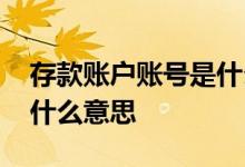 存款账户账号是什么意思啊 存款账户报告是什么意思