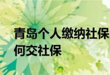 青岛个人缴纳社保的时间是什么时候 自己如何交社保 