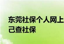 东莞社保个人网上登录方法是如何的 怎么自己查社保 