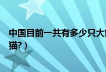 中国目前一共有多少只大熊猫（中国目前一共有多少只大熊猫?）