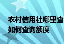 农村信用社哪里查卡额度 请问信用社储蓄卡如何查询额度