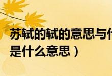 苏轼的轼的意思与什么有关（答案：苏轼的轼是什么意思）