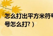 怎么打出平方米符号（平方米符号和立方米符号怎么打?）