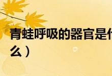 青蛙呼吸的器官是什么（青蛙呼吸的器官是什么）