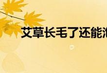 艾草长毛了还能泡脚吗（艾草长啥样）